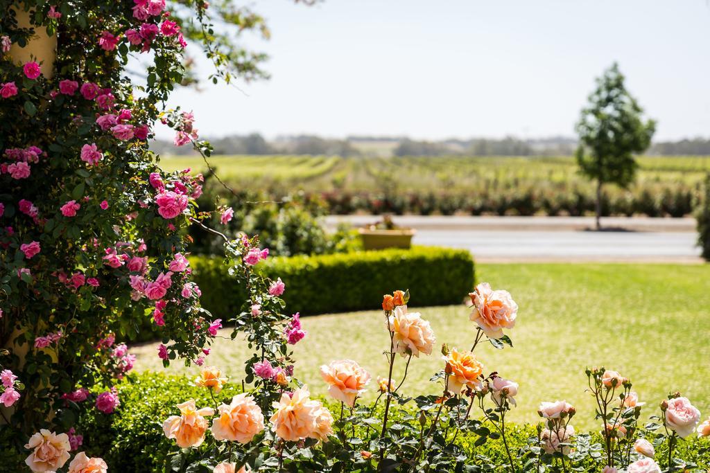 Barossa House Bed & Breakfast Tanunda Exterior photo