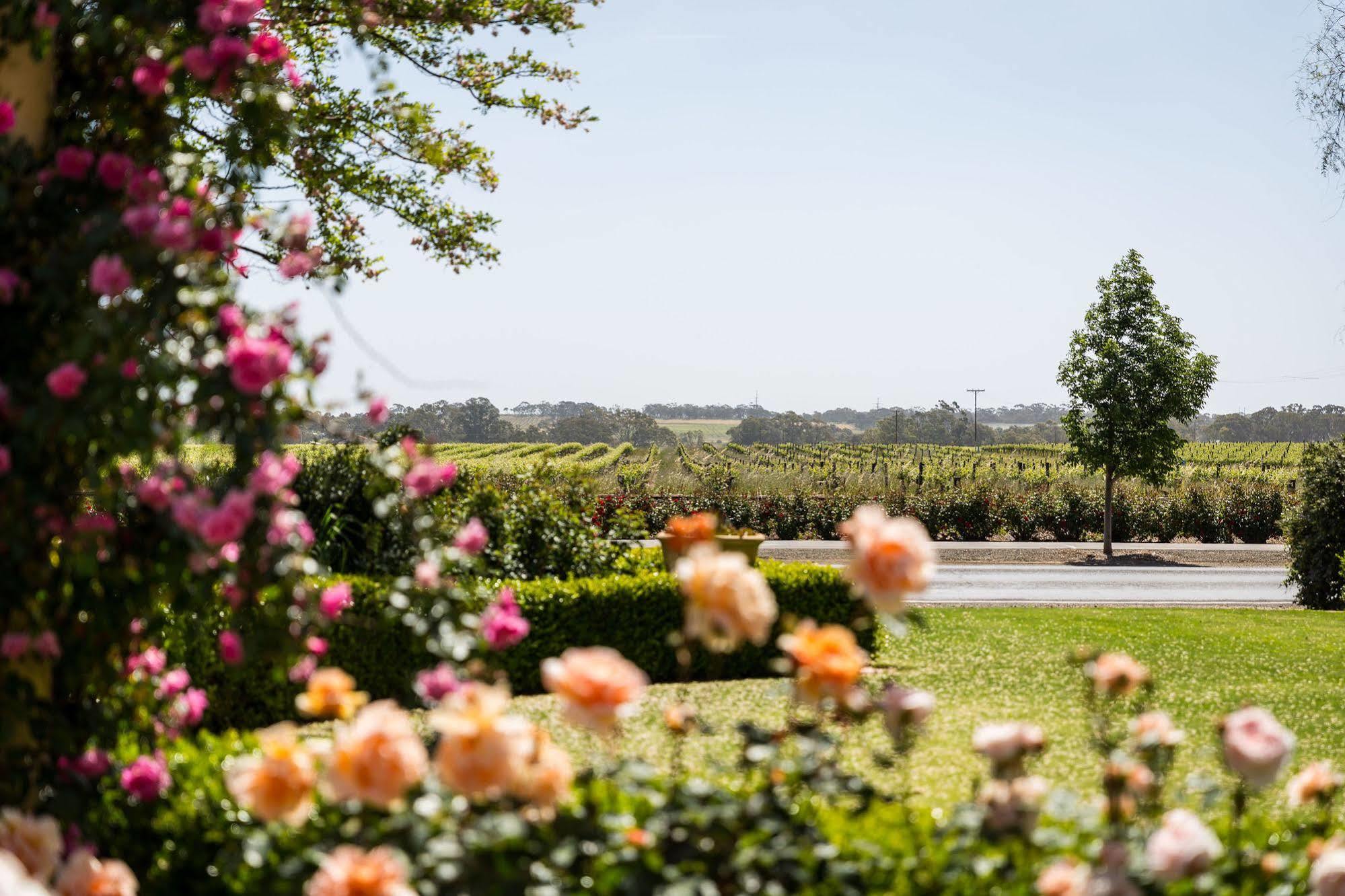 Barossa House Bed & Breakfast Tanunda Exterior photo